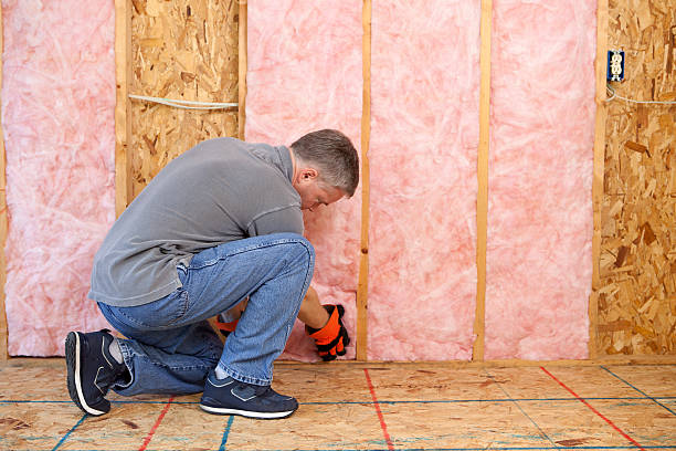 Best Cellulose Insulation  in Seven Lakes, NC